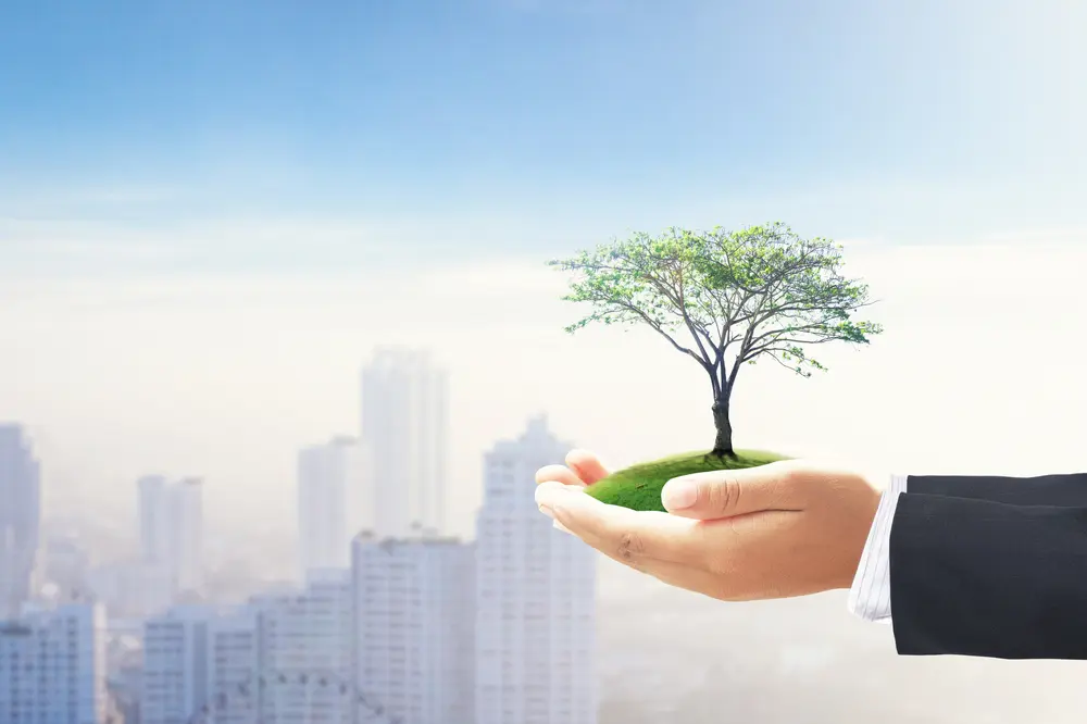 Environnement Tourve